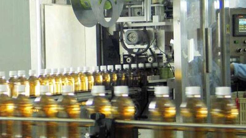 肉类加工新利器：全自动肉类斩拌机型号解析**