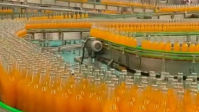 速冻设备：广州速冻食品企业的“高效助手